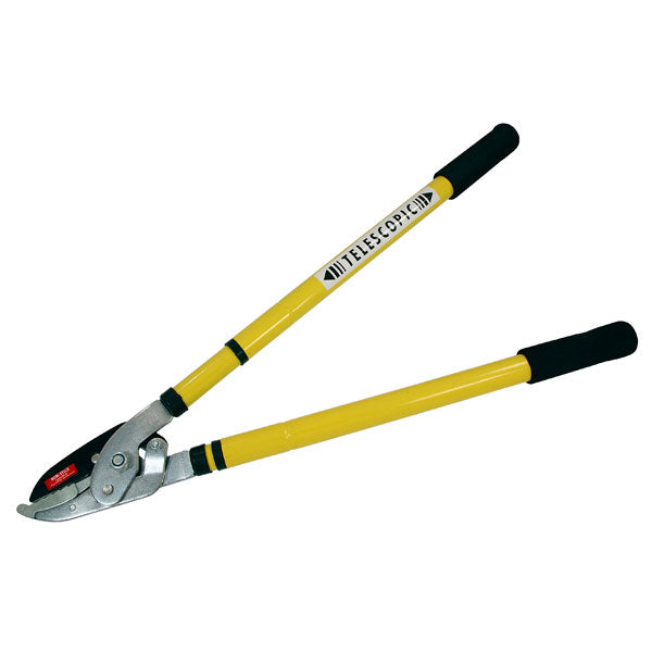 CT3461 - Ratchet Telescopic Tree Lopper