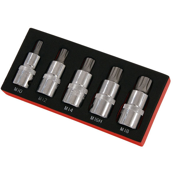 CT3631 - 5pc 1/2in DR Spline Bit Set