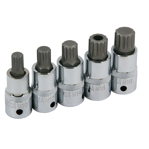 CT3631 - 5pc 1/2in DR Spline Bit Set