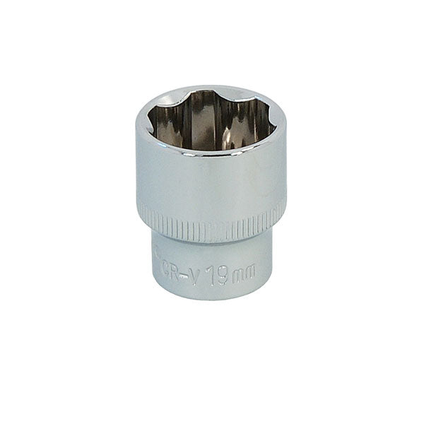 CT5018  -  3/8in DR 19mm Socket