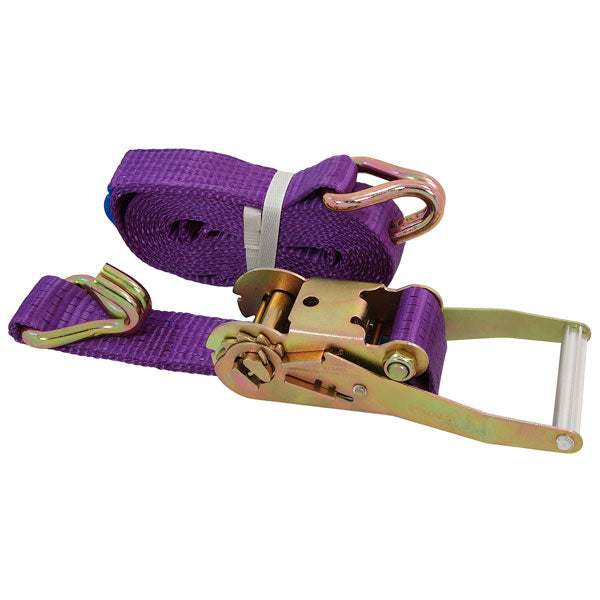 CT5364 - Ratchet Tie Down Strap - 4M